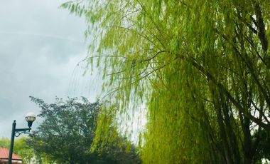 ¡Descubre esta Increíble Casa en Mosquera junto al Club SERREZUELA!