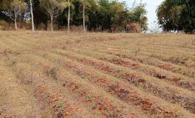 1,2 Ha Tanah Kebun Datar, Pinggirsari,  Arjasari, Kab. Bandung