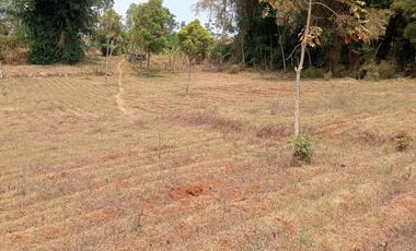 1,2 Ha Tanah Kebun Datar, Pinggirsari,  Arjasari, Kab. Bandung