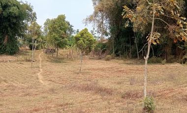 1,2 Ha Tanah Kebun Datar, Pinggirsari,  Arjasari, Kab. Bandung