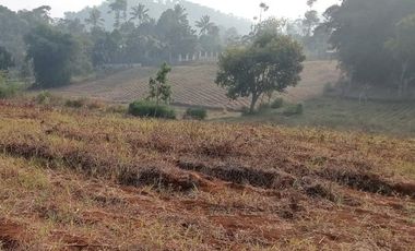 1,2 Ha Tanah Kebun Datar, Pinggirsari,  Arjasari, Kab. Bandung