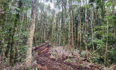 Parcela Condominio Las Bahías