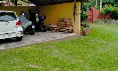 HOUSE AND LOT FOR SALE IN SIBULAN ID 14851