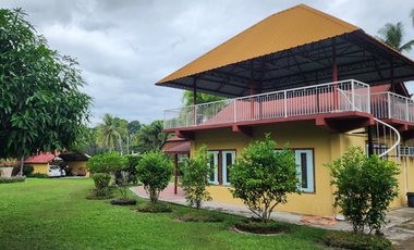 HOUSE AND LOT FOR SALE IN SIBULAN ID 14851