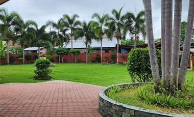 HOUSE AND LOT FOR SALE IN SIBULAN ID 14851