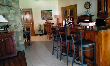HOUSE AND LOT FOR SALE IN SIBULAN ID 14851