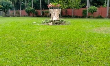 HOUSE AND LOT FOR SALE IN SIBULAN ID 14851