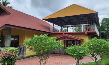 HOUSE AND LOT FOR SALE IN SIBULAN ID 14851