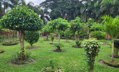 HOUSE AND LOT FOR SALE IN SIBULAN ID 14851