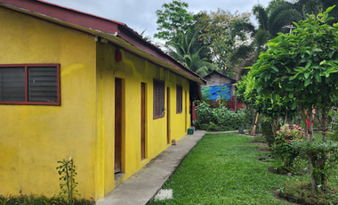 HOUSE AND LOT FOR SALE IN SIBULAN ID 14851