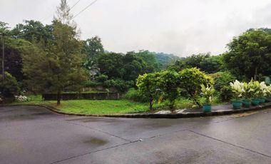 Lot For Sale In Alta Monte Green Executive Village Taytay Rizal