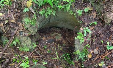 Finca de Venta en Bosque Pacoche Manta Manabi