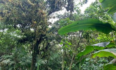 Finca de Venta en Bosque Pacoche Manta Manabi