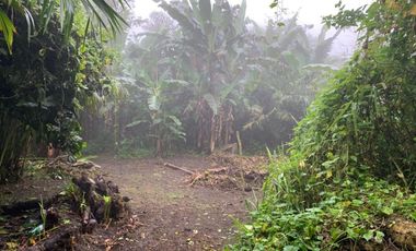 Finca de Venta en Bosque Pacoche Manta Manabi