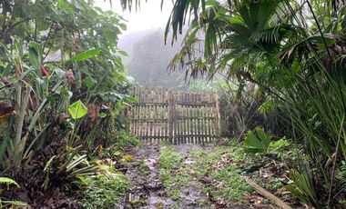 Finca de Venta en Bosque Pacoche Manta Manabi