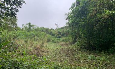 Finca de Venta en Bosque Pacoche Manta Manabi