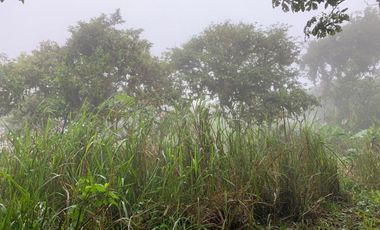 Finca de Venta en Bosque Pacoche Manta Manabi