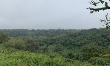 Finca de Venta en Bosque Pacoche Manta Manabi