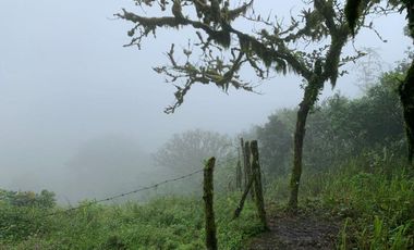 Finca de Venta en Bosque Pacoche Manta Manabi