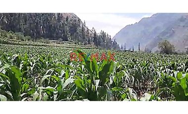 TERRENO CON UN ÁREA DE 4,663 M2 UBICADO EN OLLANTAYTAMBO - SECTOR PACHAR
