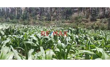 TERRENO CON UN ÁREA DE 4,663 M2 UBICADO EN OLLANTAYTAMBO - SECTOR PACHAR