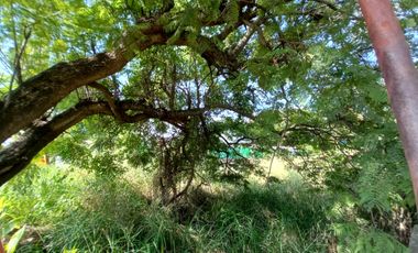 TERRENO EN VENTA EN FRACCIONAMIETO LOMAS DE COCOYOC MORELOS