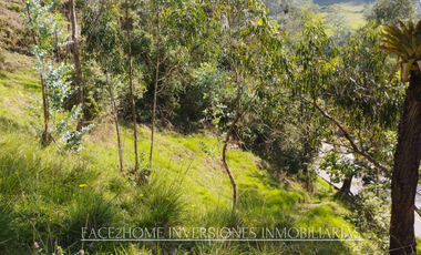 FINCA EN VENTA SECTOR TENA CUNDINAMARCA 10000 m²