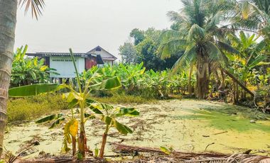 📣house for Sales with land 3 ngan 24 square wah, Yang Sai Subdistrict, Sukhothai Province, special price 💥