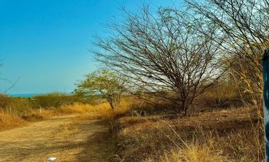 TERRENOS COLINDANTES A LA SUPER CARRETERA