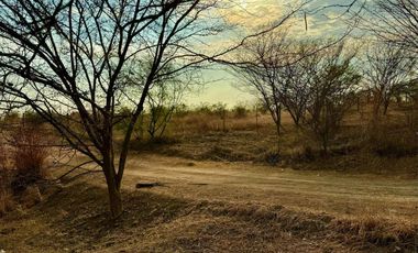 TERRENOS COLINDANTES A LA SUPER CARRETERA