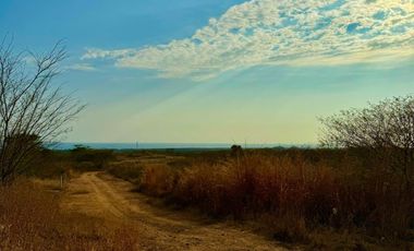 TERRENOS COLINDANTES A LA SUPER CARRETERA