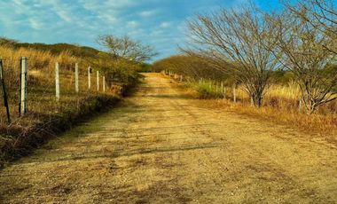 TERRENOS COLINDANTES A LA SUPER CARRETERA