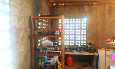 BEACH FRONT HOUSE AND LOT FOR SALE IN SIATON ID 14863