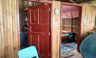 BEACH FRONT HOUSE AND LOT FOR SALE IN SIATON ID 14863