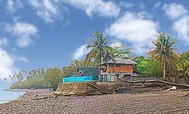 BEACH FRONT HOUSE AND LOT FOR SALE IN SIATON ID 14863