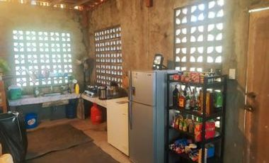 BEACH FRONT HOUSE AND LOT FOR SALE IN SIATON ID 14863