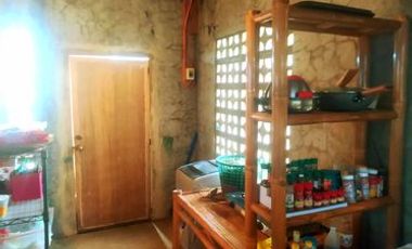 BEACH FRONT HOUSE AND LOT FOR SALE IN SIATON ID 14863