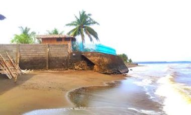 BEACH FRONT HOUSE AND LOT FOR SALE IN SIATON ID 14863