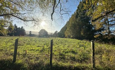 Se Vende Parcela 5.000 m2 a Orilla de Camino Ruta T-615 Reumén - Cruce Betonera.