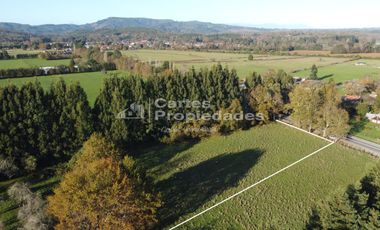 Se Vende Parcela 5.000 m2 a Orilla de Camino Ruta T-615 Reumén - Cruce Betonera.