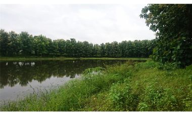 Venta de Hacienda De Teca Via Palestina-Vinces