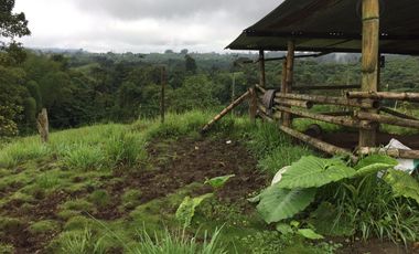 ¡Oportunidad Única!  Vendo Finca de 50 Hectáreas en Vía Asfaltada Calacalí-Río Blanco