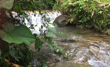 ¡Oportunidad Única!  Vendo Finca de 50 Hectáreas en Vía Asfaltada Calacalí-Río Blanco