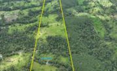 ¡Oportunidad Única!  Vendo Finca de 50 Hectáreas en Vía Asfaltada Calacalí-Río Blanco