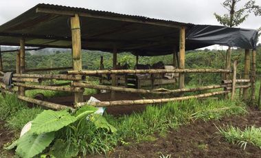 ¡Oportunidad Única!  Vendo Finca de 50 Hectáreas en Vía Asfaltada Calacalí-Río Blanco