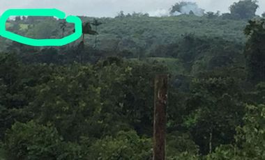 ¡Oportunidad Única!  Vendo Finca de 50 Hectáreas en Vía Asfaltada Calacalí-Río Blanco