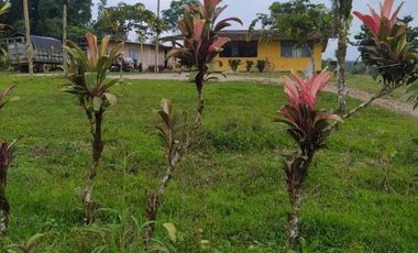 ¡Oportunidad Única!  Vendo Finca de 50 Hectáreas en Vía Asfaltada Calacalí-Río Blanco