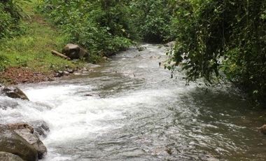 ¡Oportunidad Única!  Vendo Finca de 50 Hectáreas en Vía Asfaltada Calacalí-Río Blanco