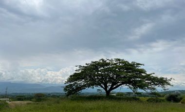 VENTA DE LOTE CAMPESTRE CERRITOS RISARALDA