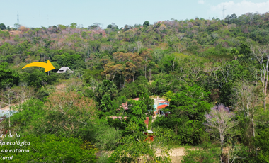 Más de 1 hectárea con una casita ecológica en un 'rincón secreto' cerca de Tarapoto y vecinos muy interesantes.